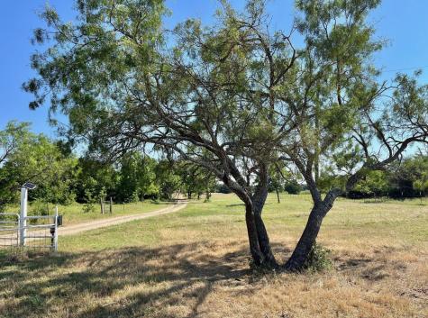 299 Private Road 1452 Chico TX 76431