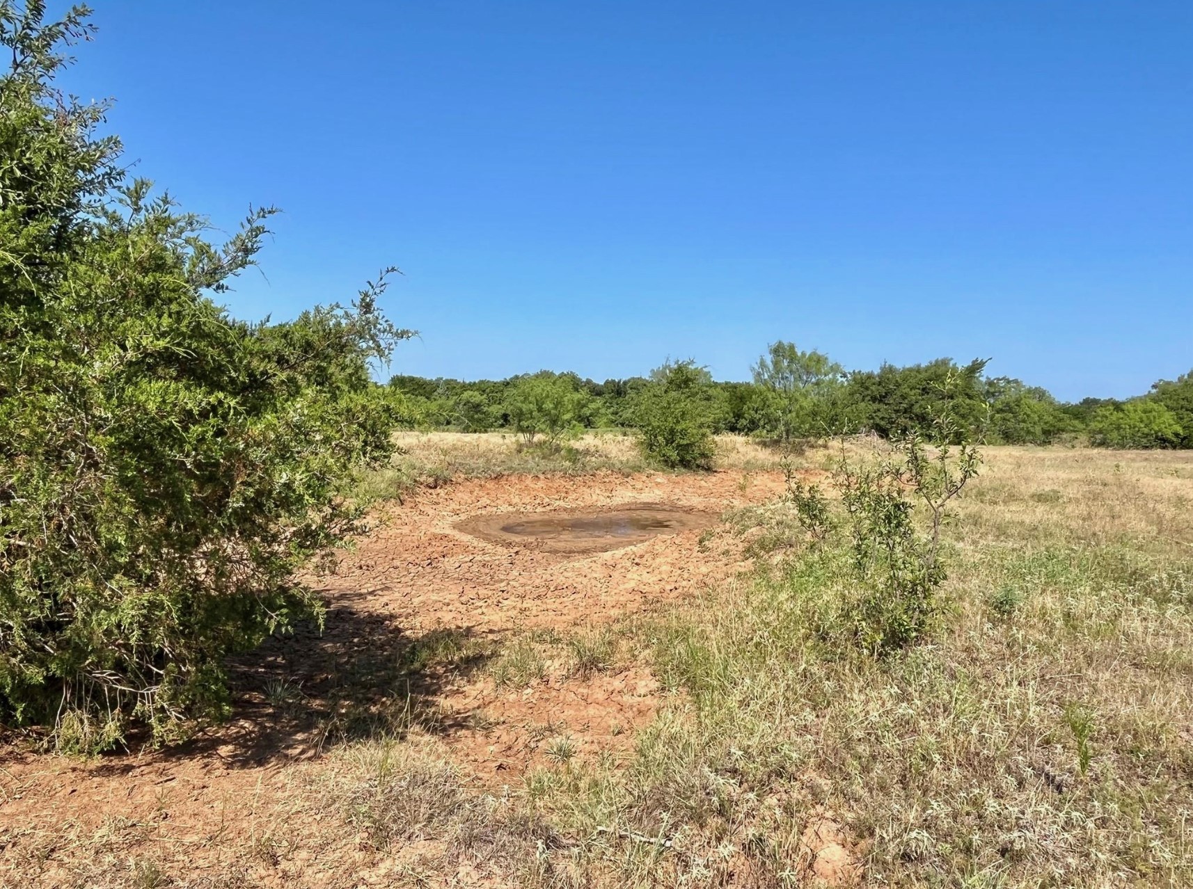 299 Private Road 1452 Chico TX 76431