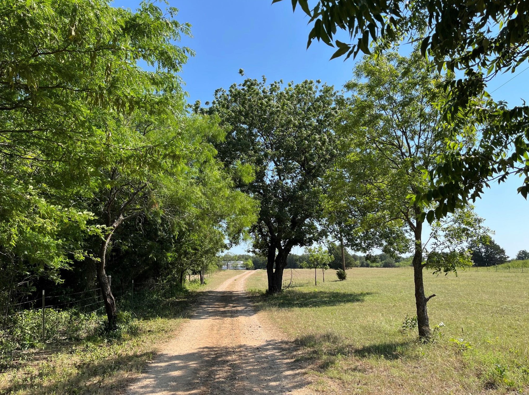 299 Private Road 1452 Chico TX 76431
