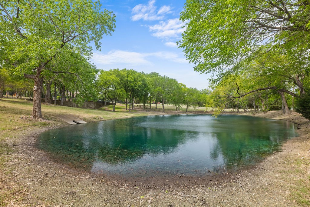 4004 Hook Bill Drive Mckinney TX 75072