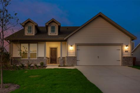 828 Feather Edge Drive Springtown TX 76082