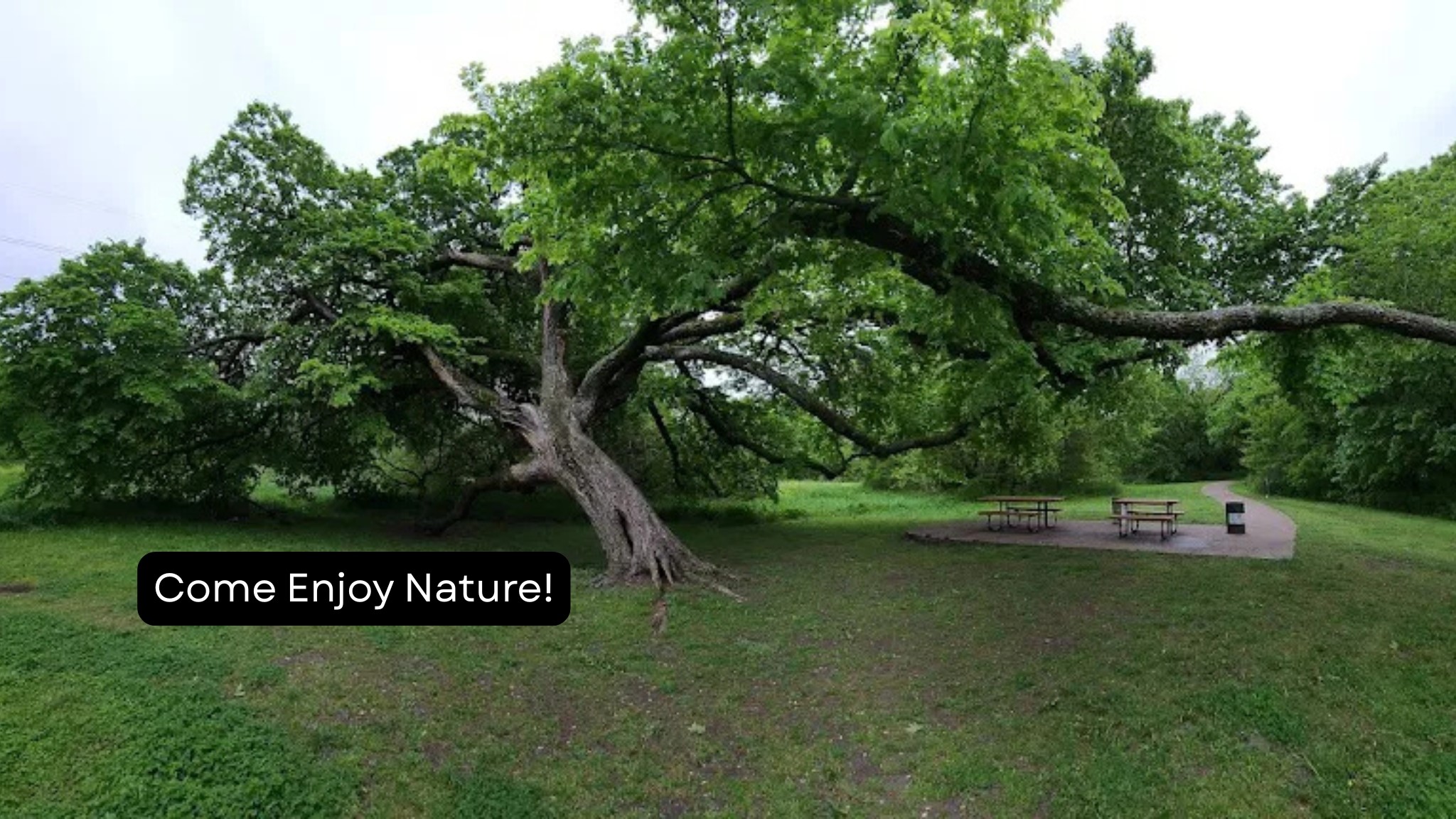 2013 Westshore Drive Garland TX 75043