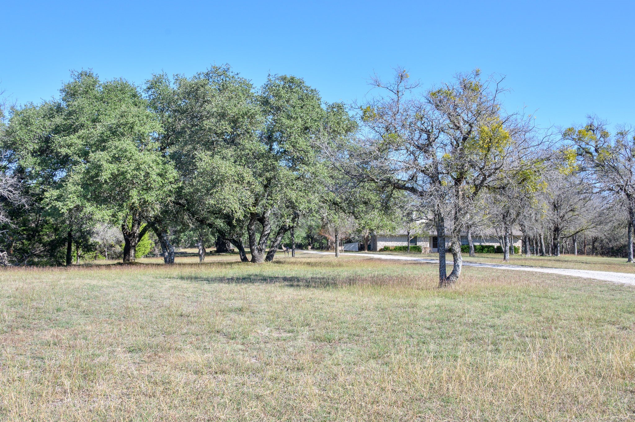 301 County Road 3330 Clifton TX 76634