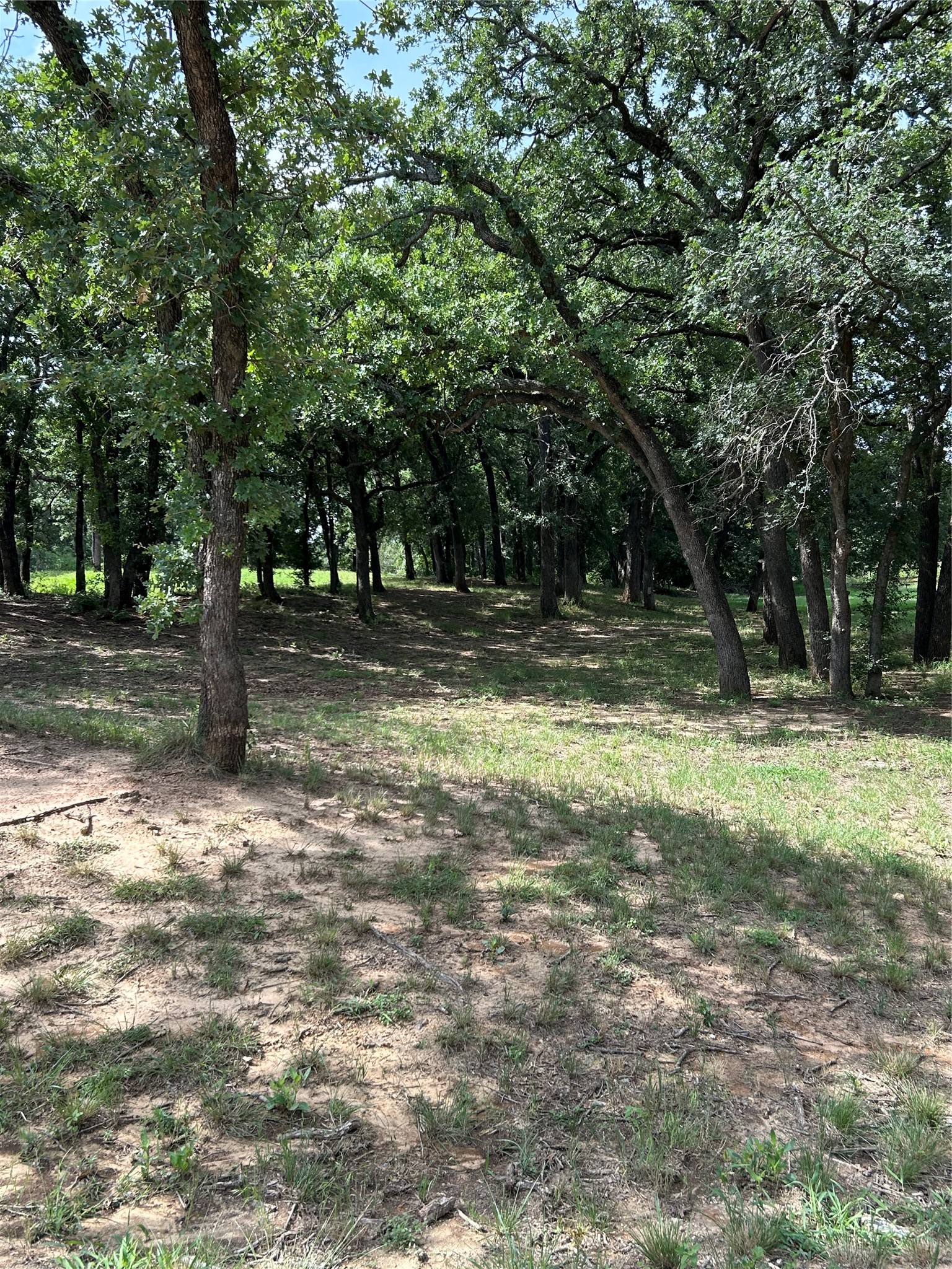 1340 N Us Highway 281 Hamilton TX 76531
