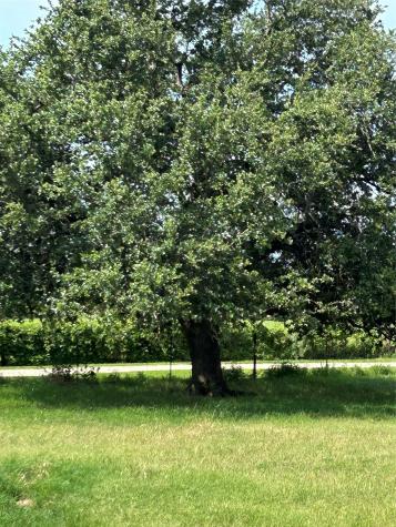 1340 N Us Highway 281 Hamilton TX 76531