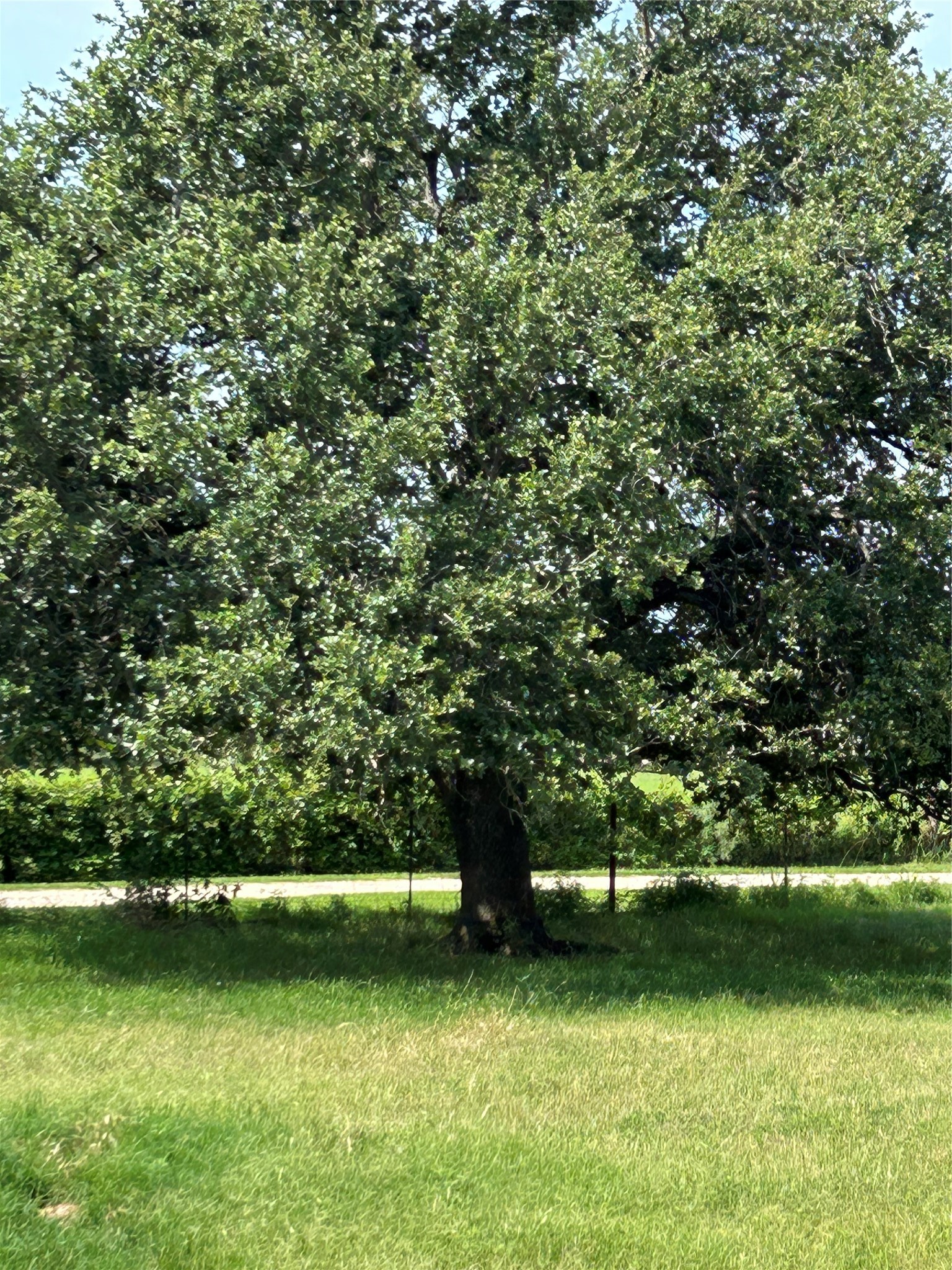 1340 N Us Highway 281 Hamilton TX 76531