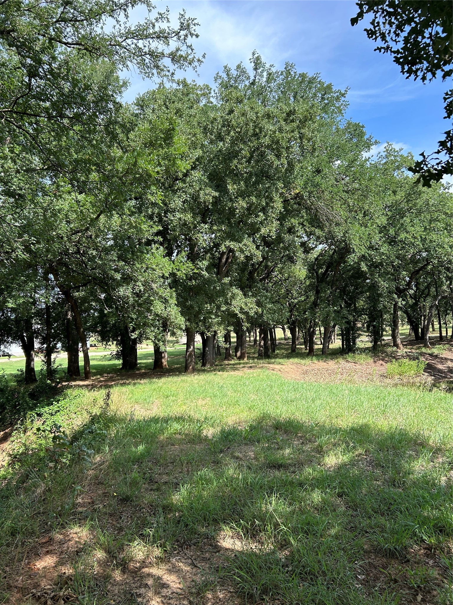 1340 N Us Highway 281 Hamilton TX 76531