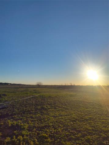 237 Barry Country Court Barry TX 75102