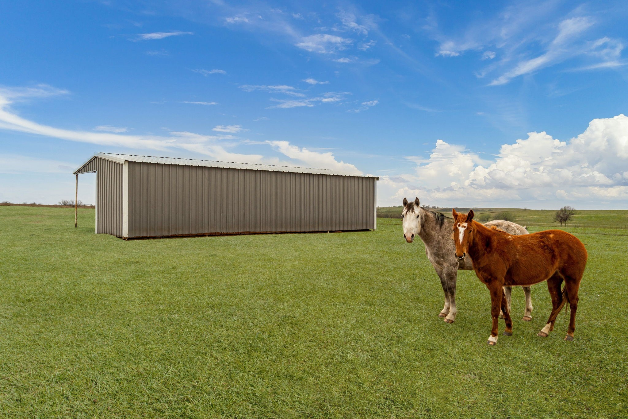 8799 Cowboy Way Celina TX 75009