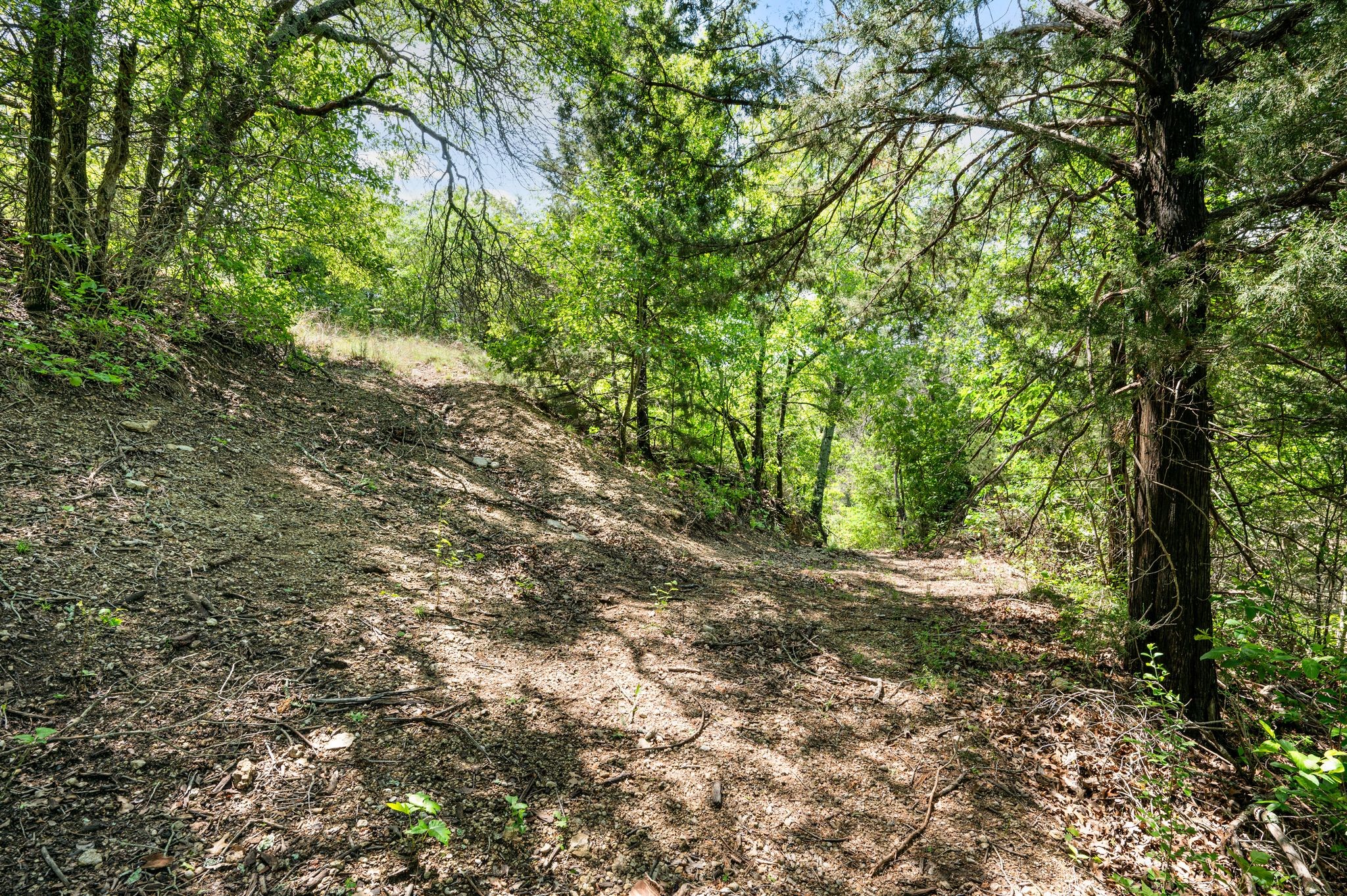130 Nicholas Way Decatur TX 76234