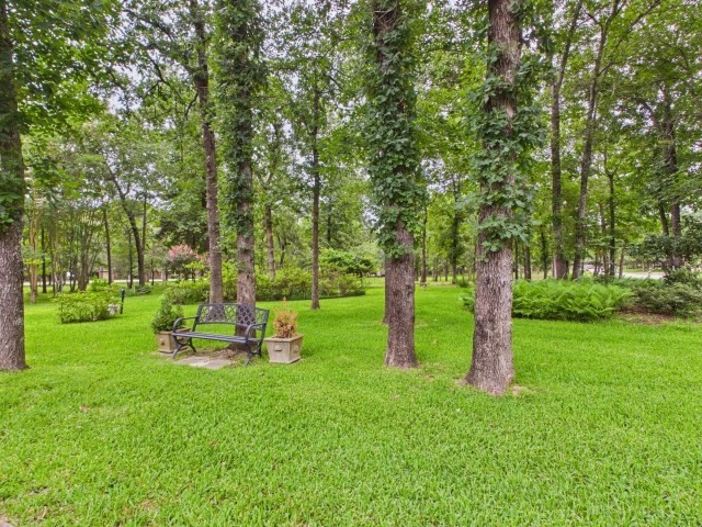 3221 Bandera Street Athens TX 75752