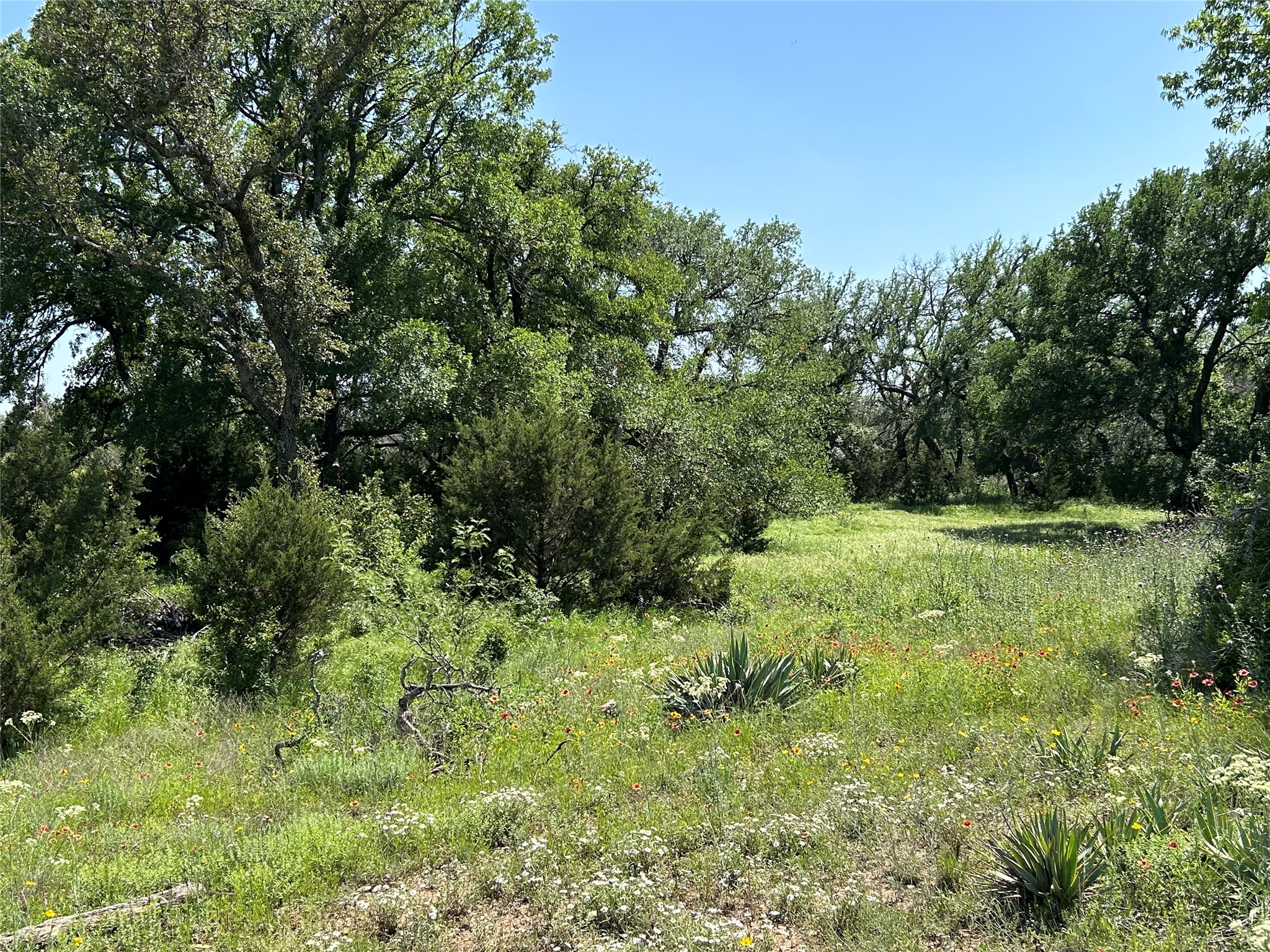 341 W Fm 574 Goldthwaite TX 76844