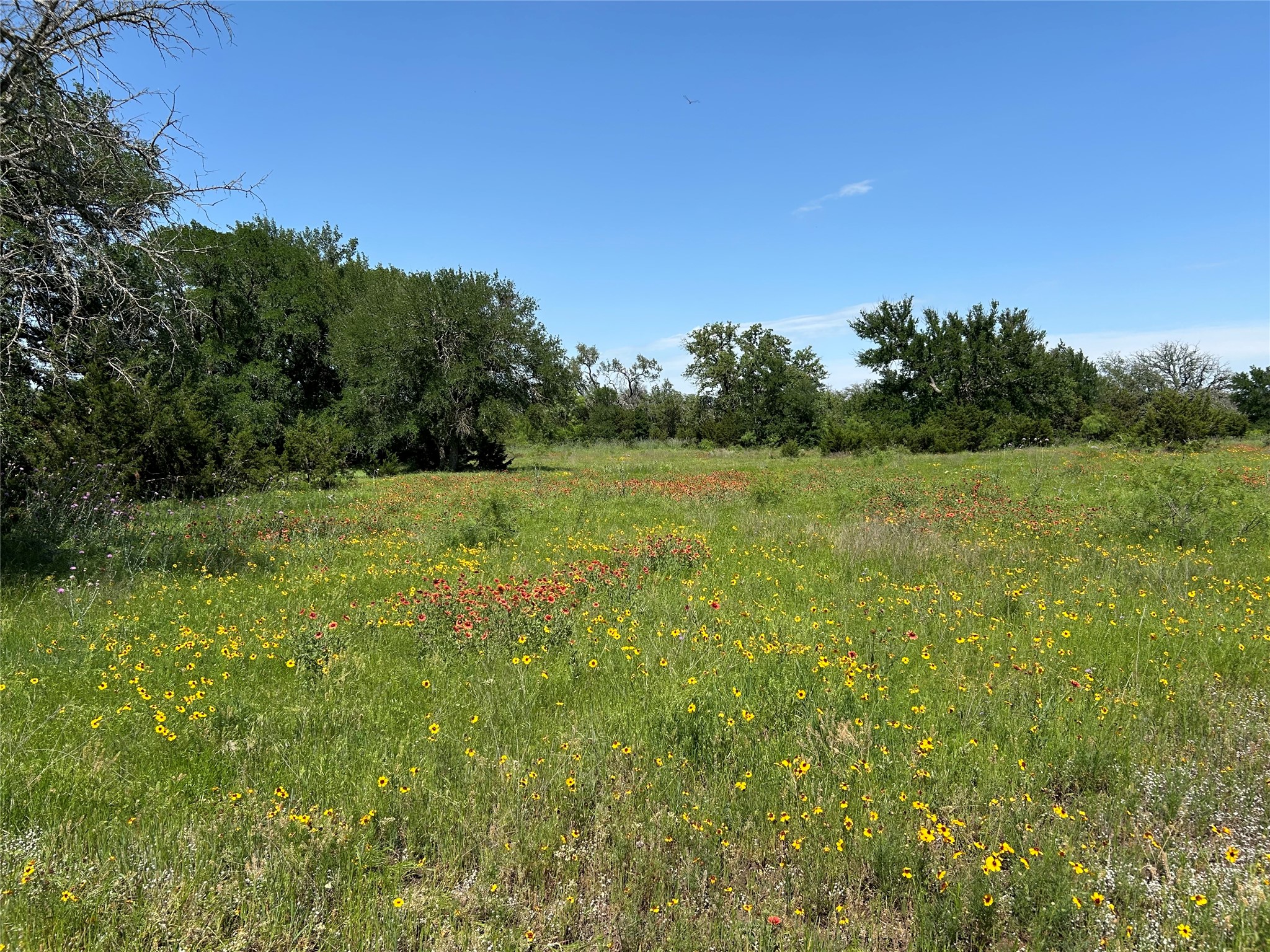 341 W Fm 574 Goldthwaite TX 76844