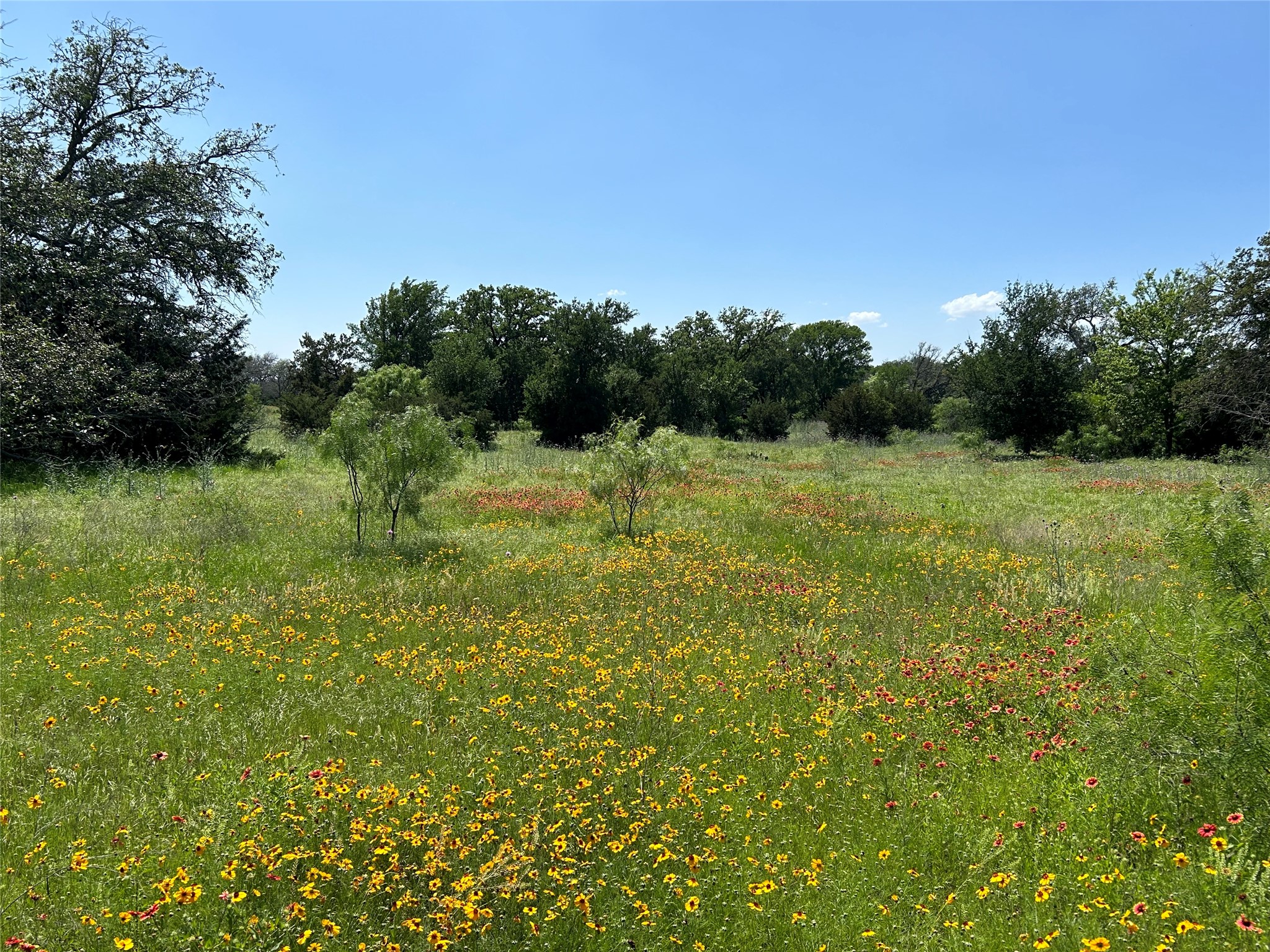 341 W Fm 574 Goldthwaite TX 76844