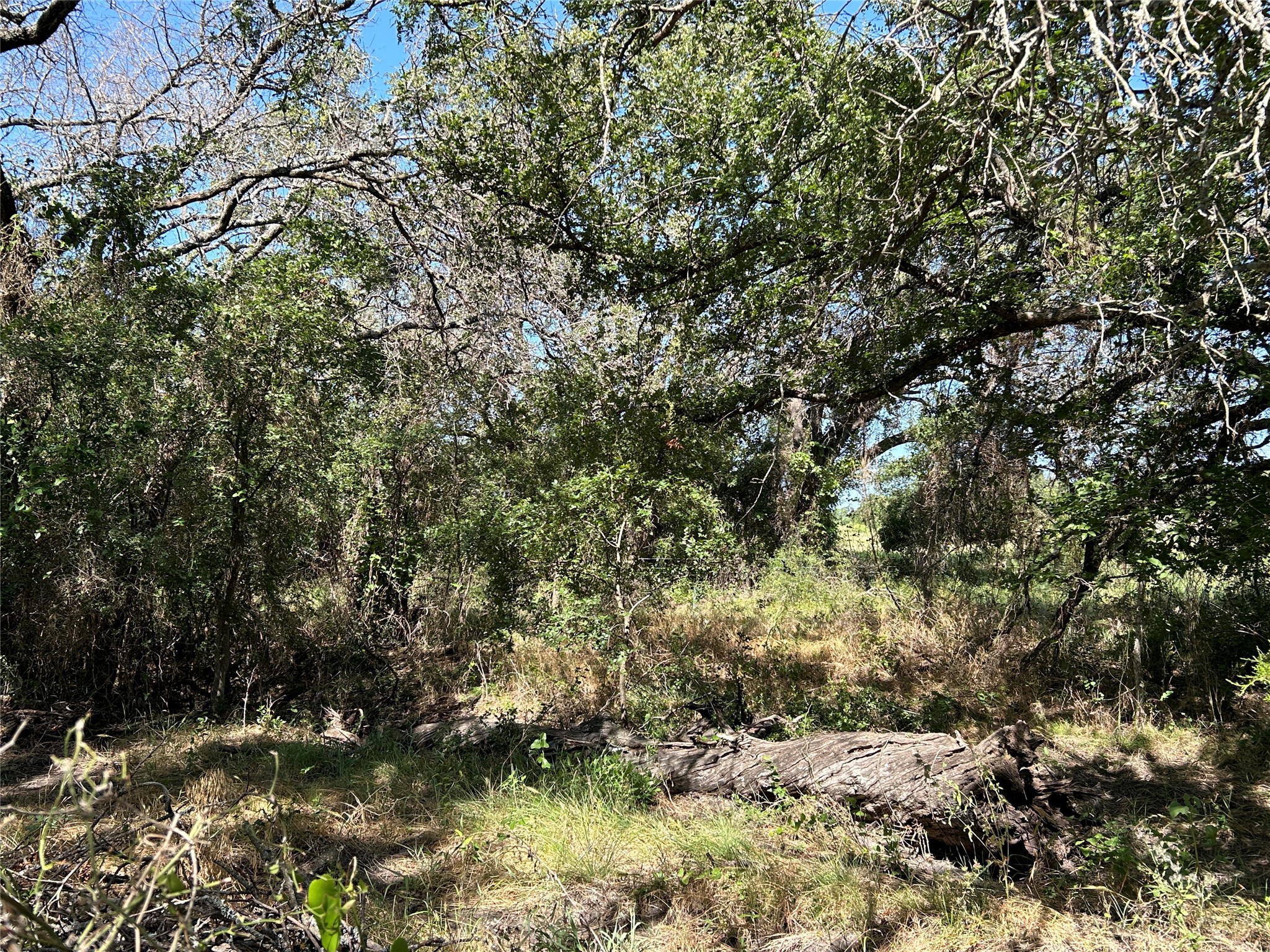 341 W Fm 574 Goldthwaite TX 76844