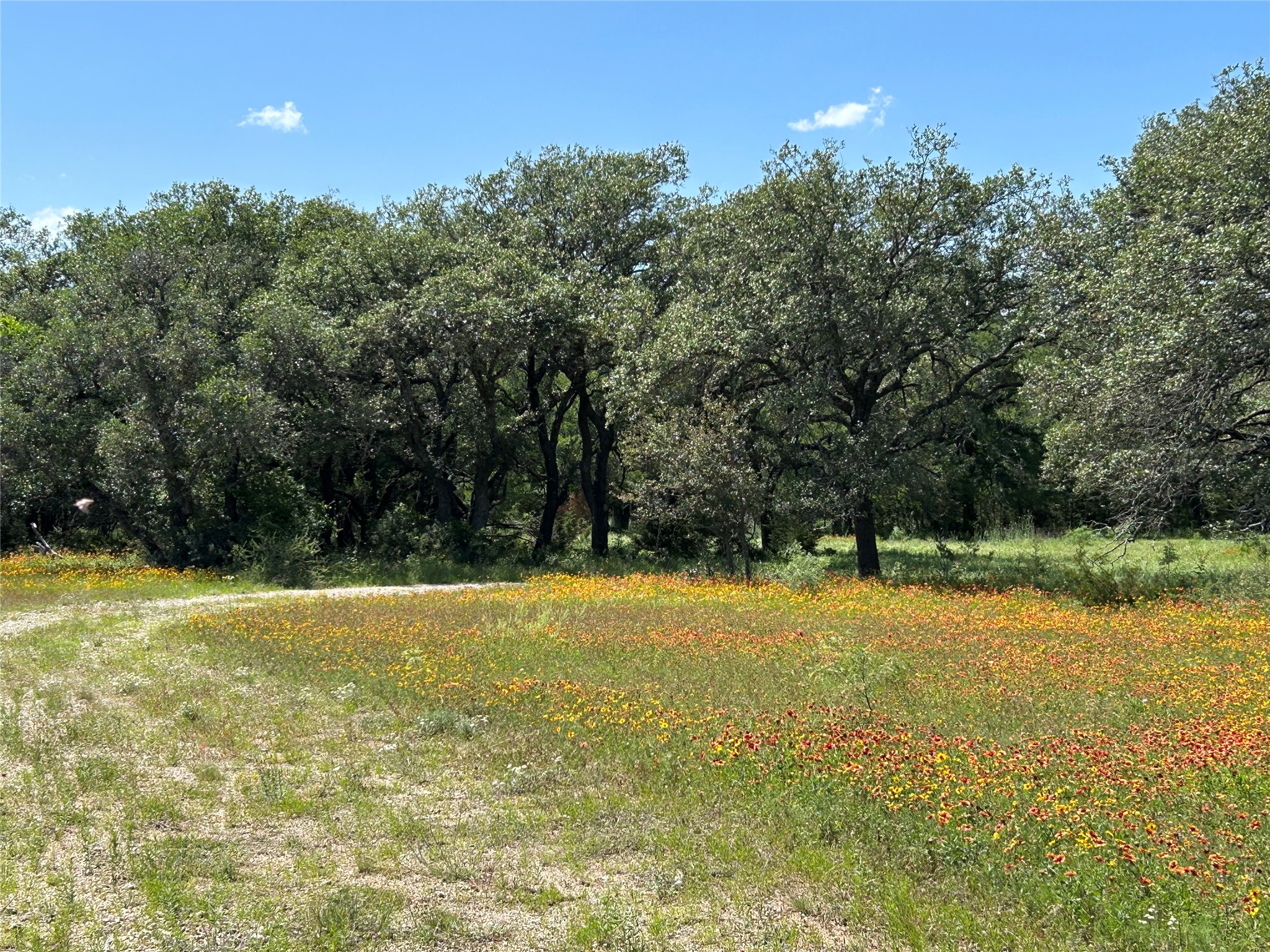 341 W Fm 574 Goldthwaite TX 76844