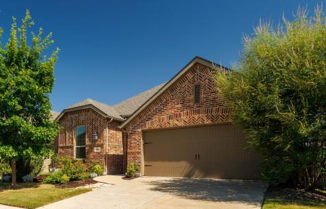 10017 Denali Drive Little Elm TX 75068