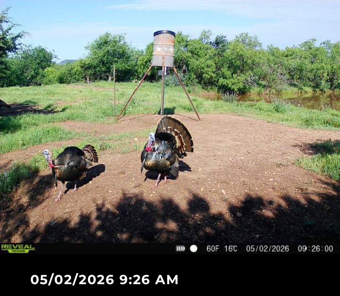 643 County Road 183 Lawn TX 79530