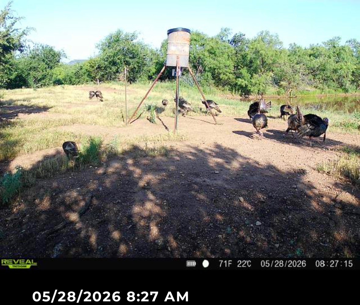 643 County Road 183 Lawn TX 79530