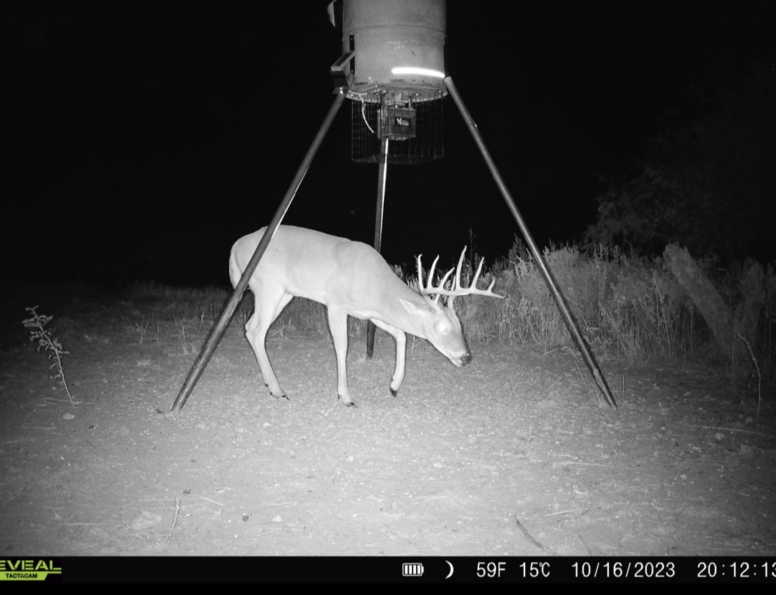 643 County Road 183 Lawn TX 79530