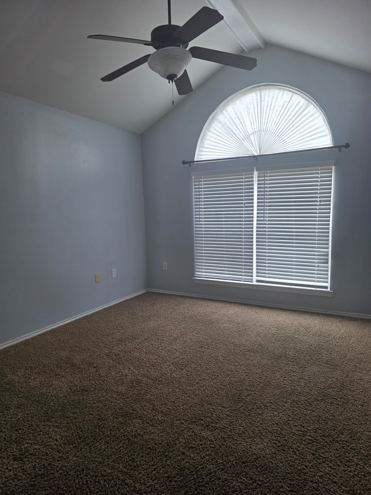1000 Morgan Blossom TX 75462