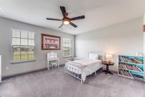 388 Hidden Meadow Trail Leonard TX 75452