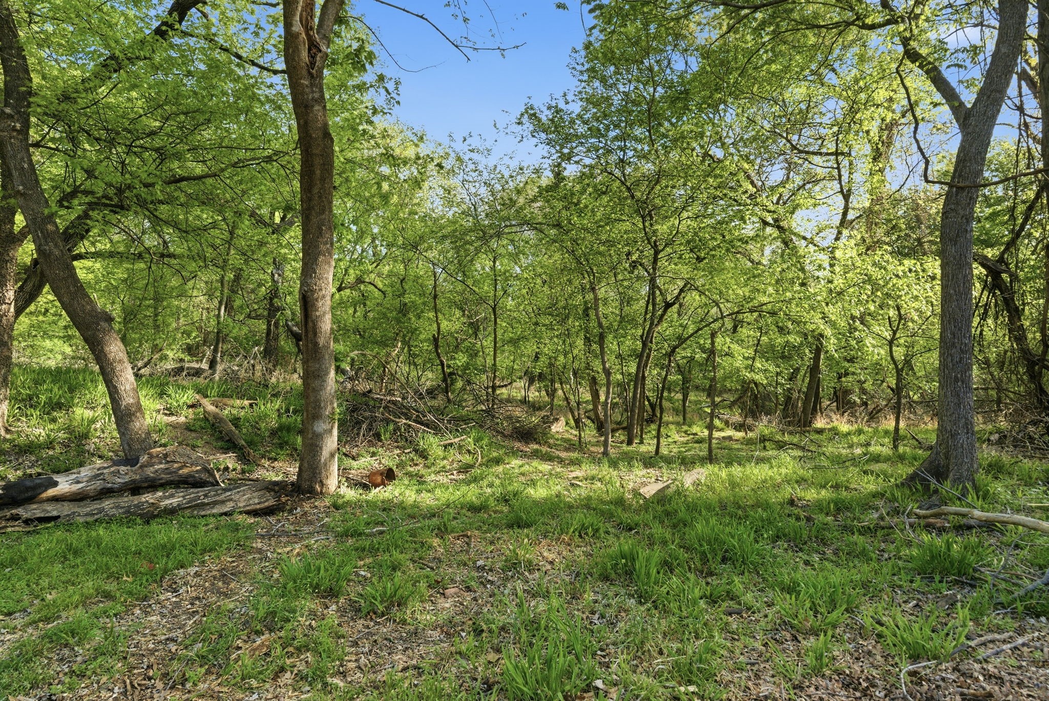 317 Glenhaven Drive Azle TX 76020