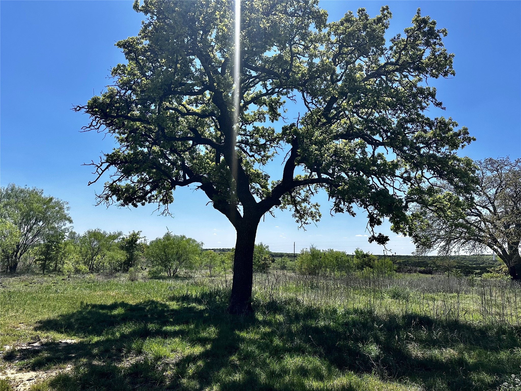 9842 Fm 2228 Baird TX 79504
