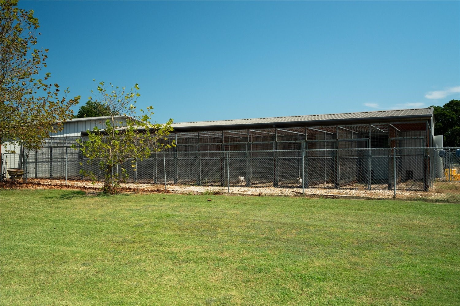 695 County Road 36120 Road Honey Grove TX 75446