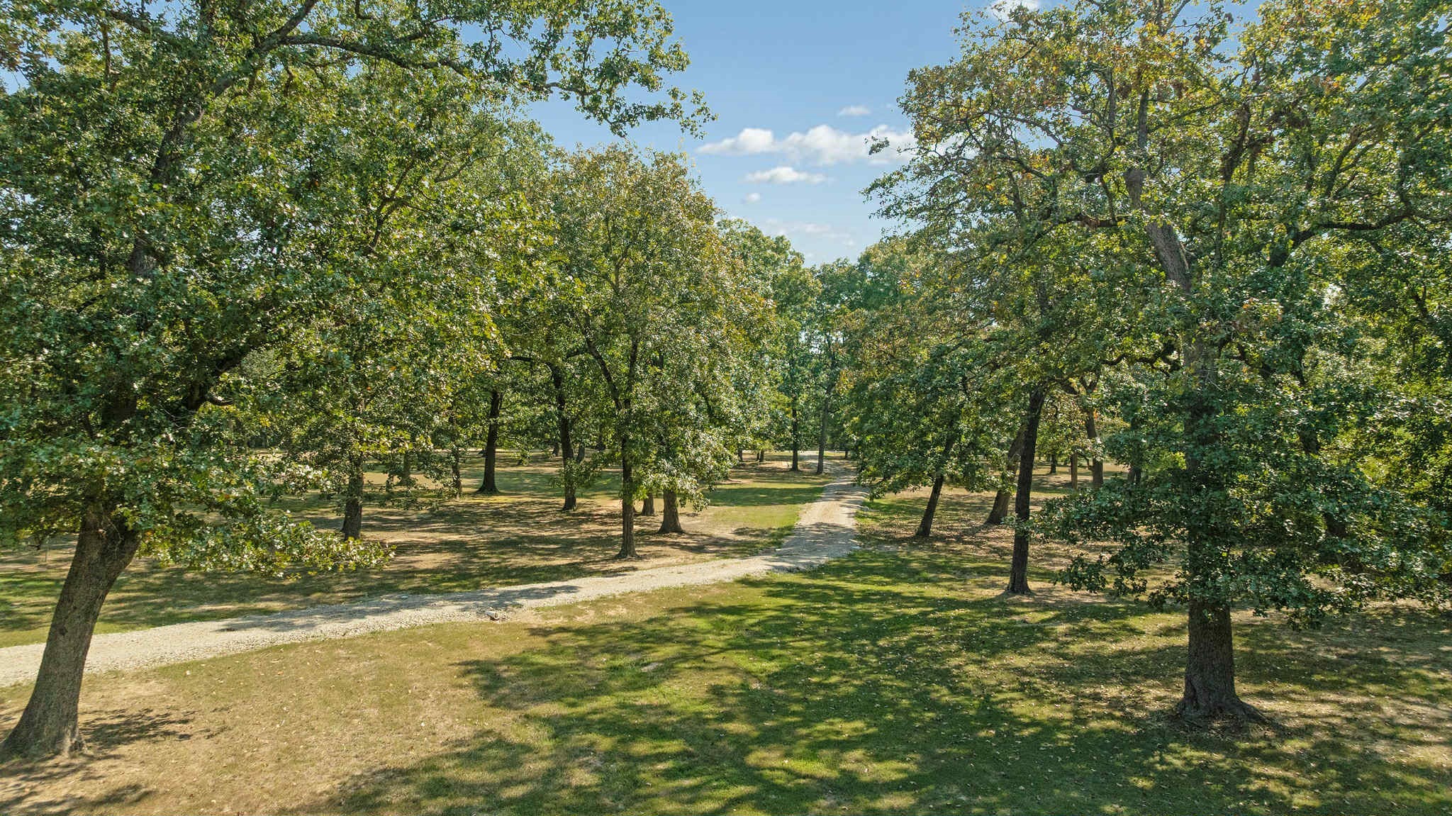 2205 County Road 44600 Blossom TX 75416