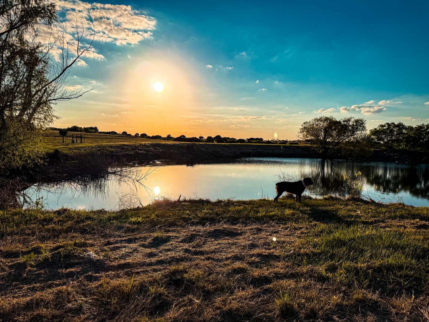601 County Road 60 Gatesville TX 76528