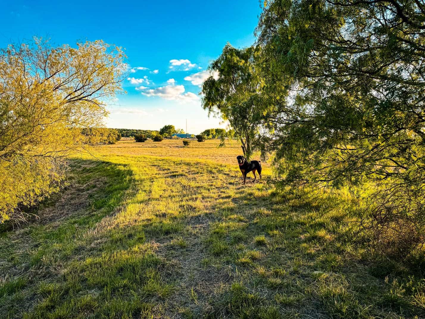 601 County Road 60 Gatesville TX 76528