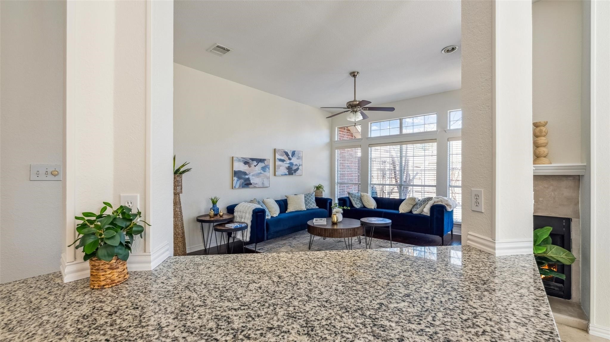 10608 Memphis Drive Frisco TX 75035
