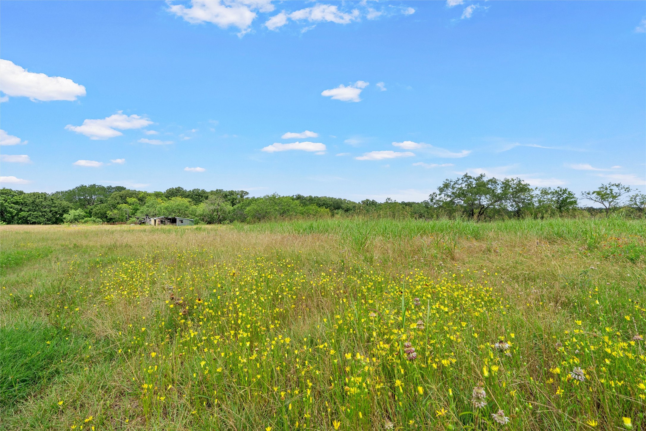 1777 Longhorn Parkway Axtell TX 76624