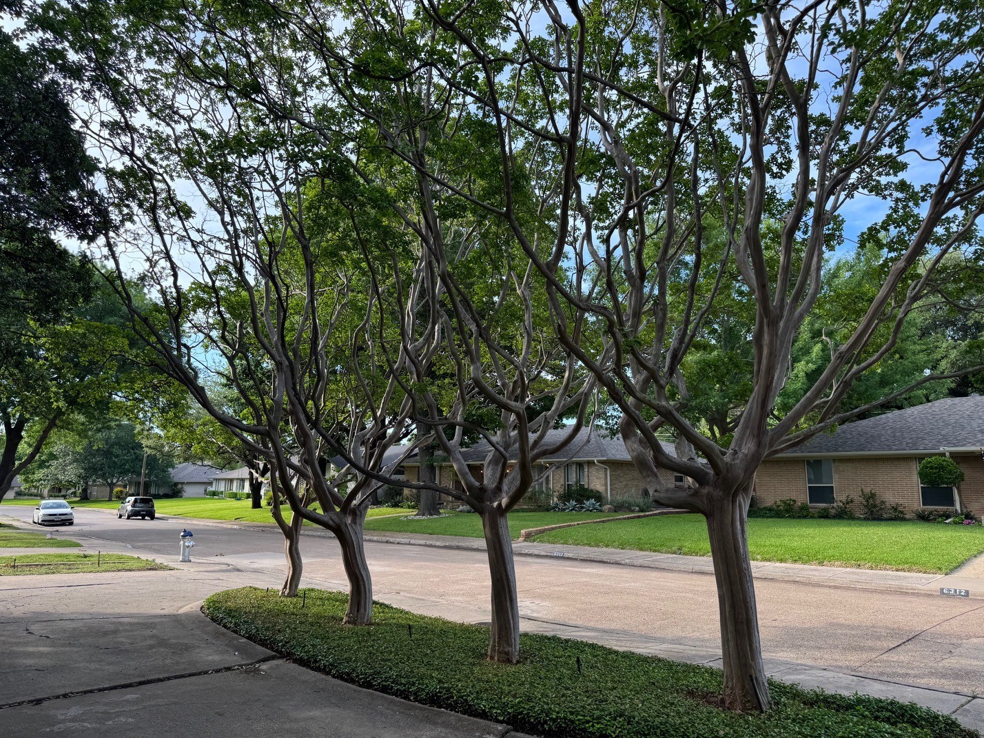 6311 Danbury Lane Dallas TX 75214