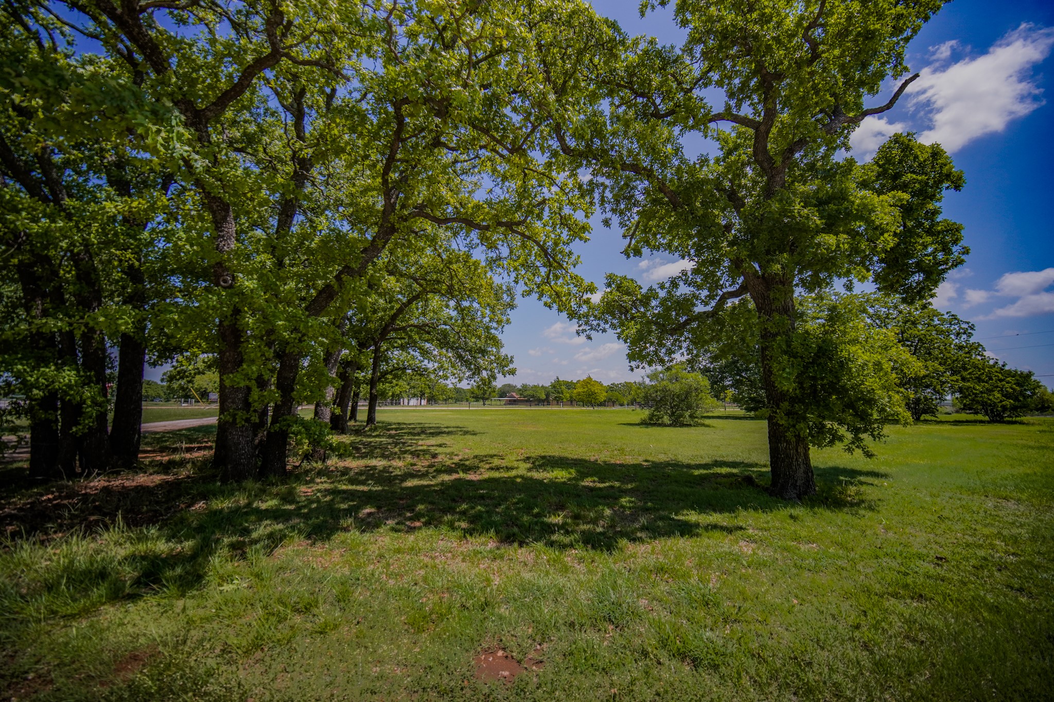 1201 Synterra Estates Loop Jacksboro TX 76458