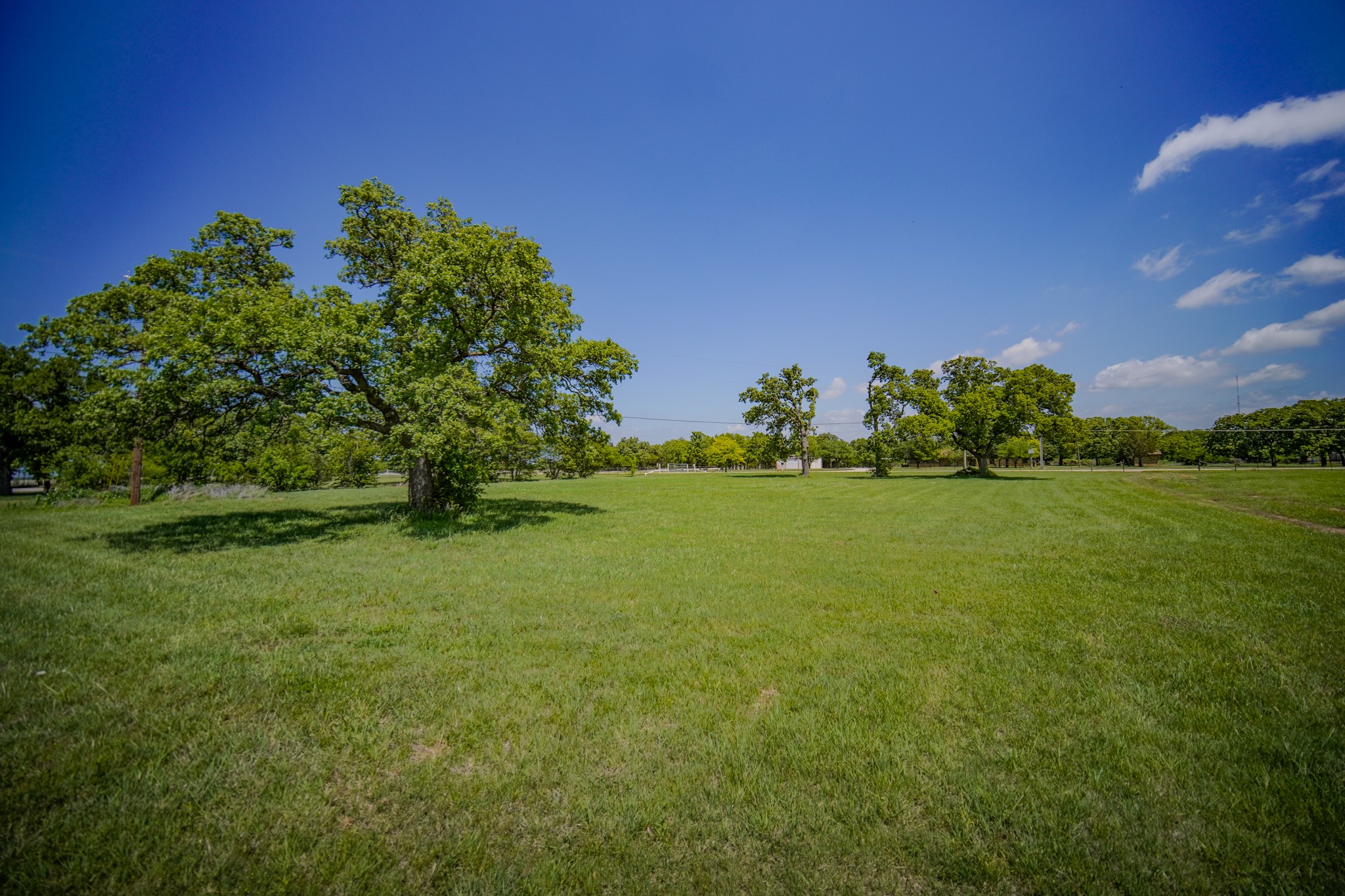 1201 Synterra Estates Loop Jacksboro TX 76458