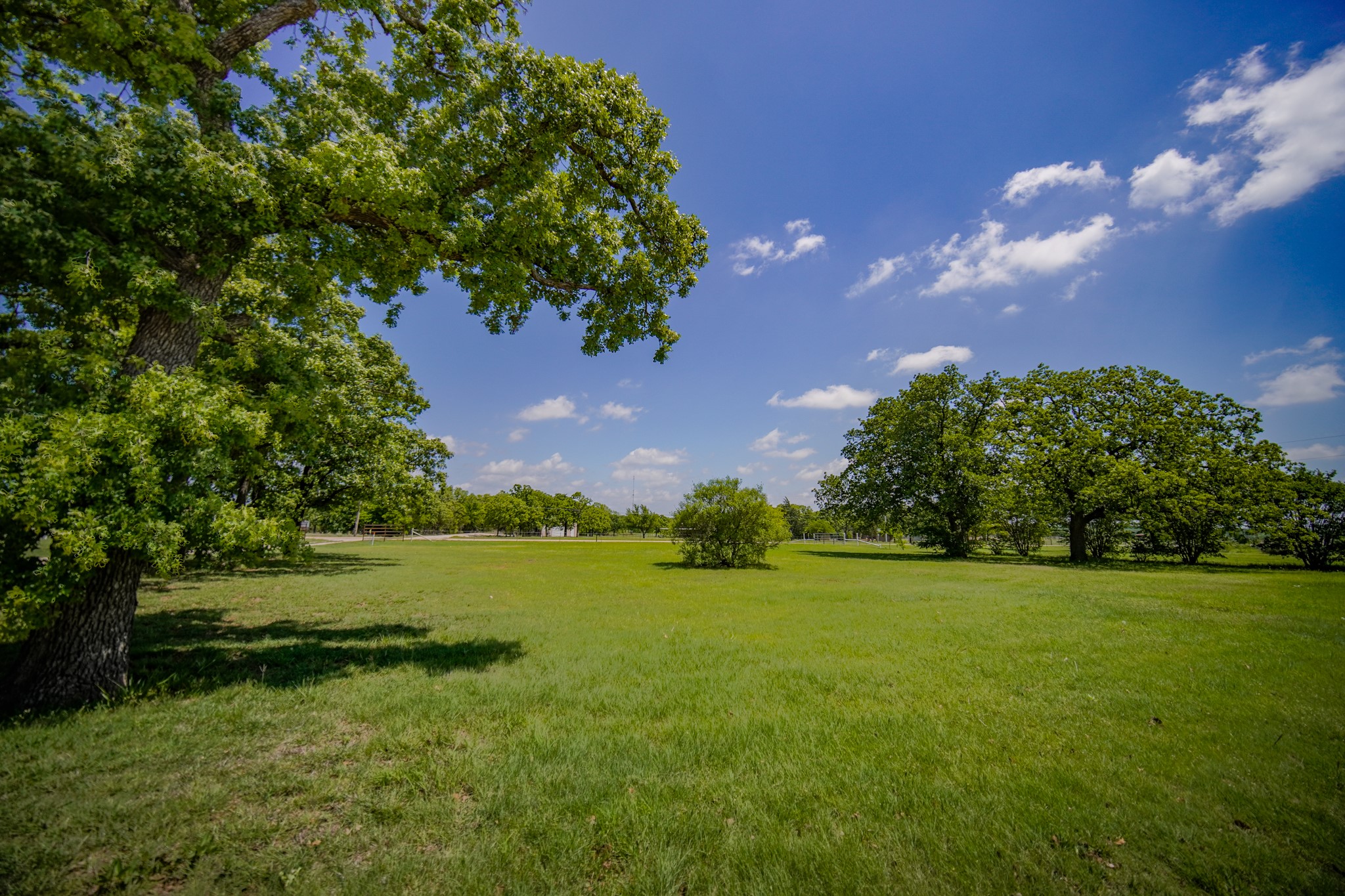1201 Synterra Estates Loop Jacksboro TX 76458