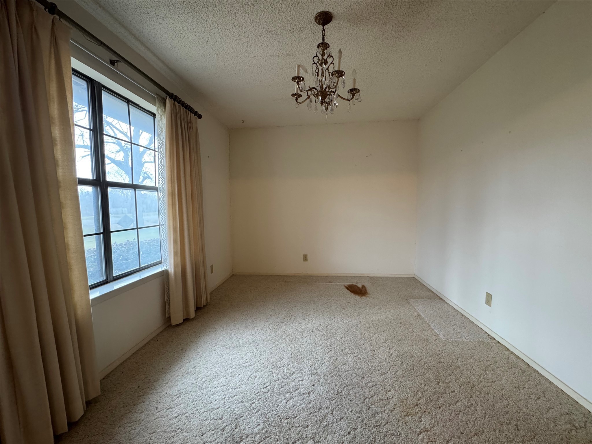 209 N Harrison Street Roxton TX 75477