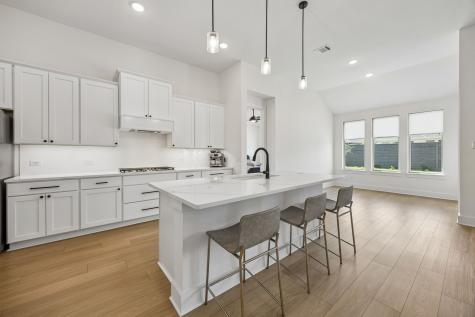 7113 Indian Paint Brush Lane Little Elm TX 76227