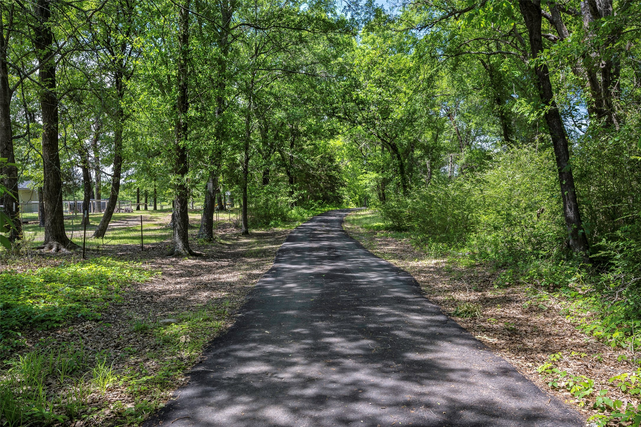 1003 Vz County Road 3211 Wills Point TX 75169