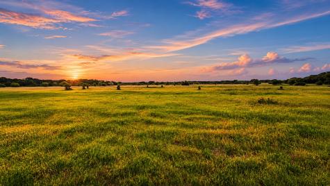TBD County Road 310 Jonesboro TX 76585