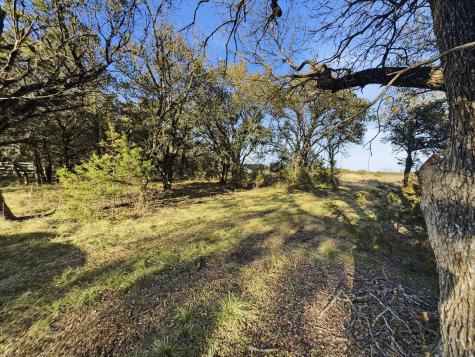 Tbd County Road 310 Jonesboro TX 76585