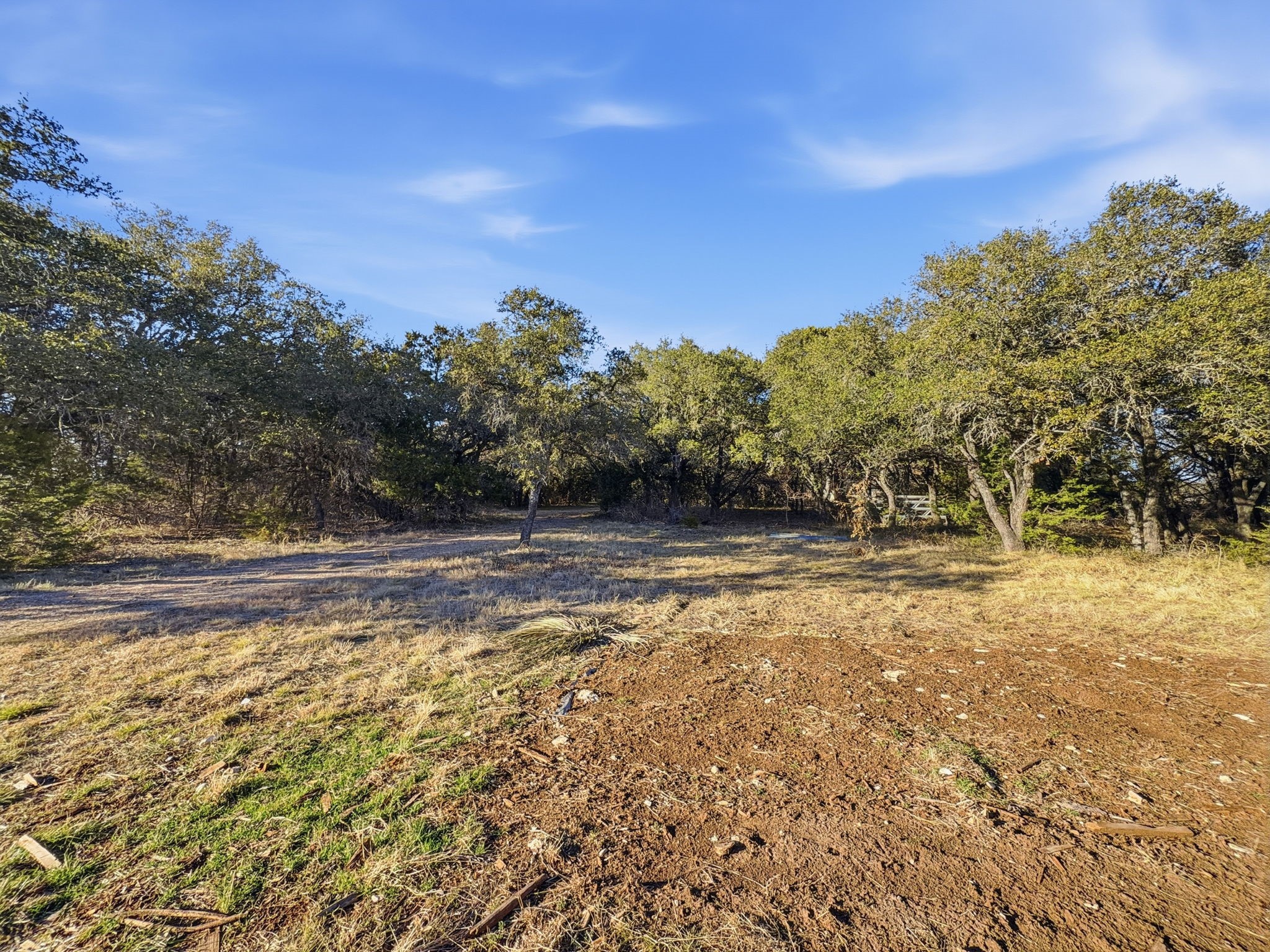 Tbd County Road 310 Jonesboro TX 76585