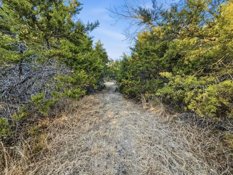 Tbd County Road 310 Jonesboro TX 76585