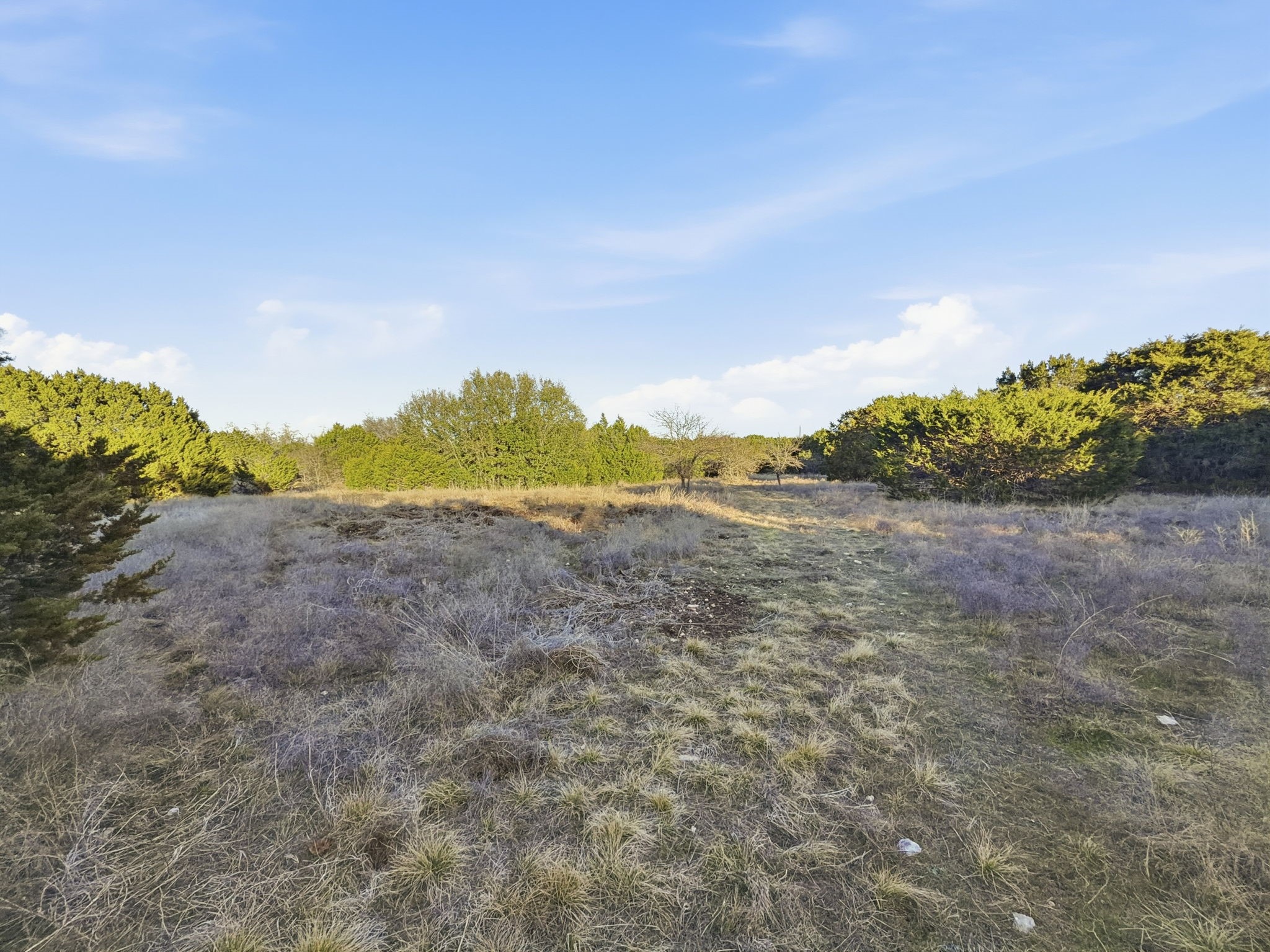 Tbd County Road 310 Jonesboro TX 76585