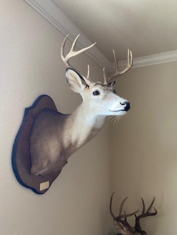 TBD County Road 310 Jonesboro TX 76585
