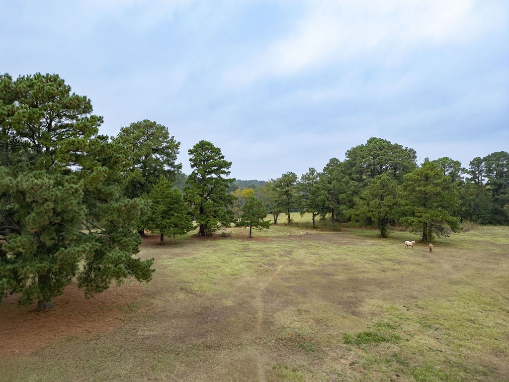 19418 Cr 4125 Lindale TX 75771