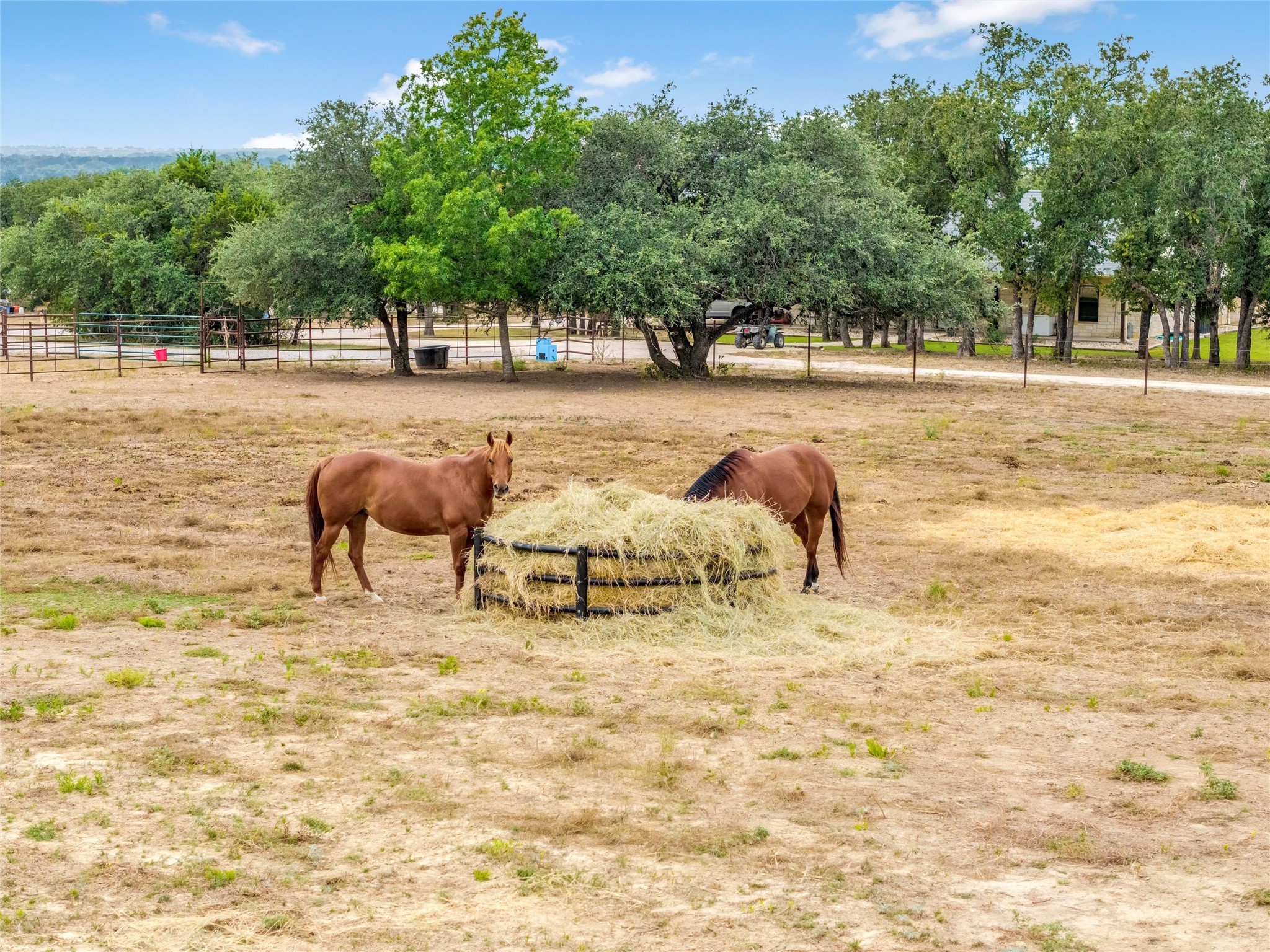 6000 County Road 351 Dublin TX 76446