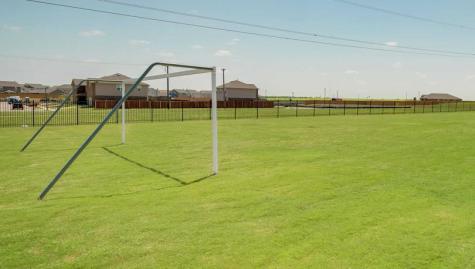 233 Lewis Lane Venus TX 76084